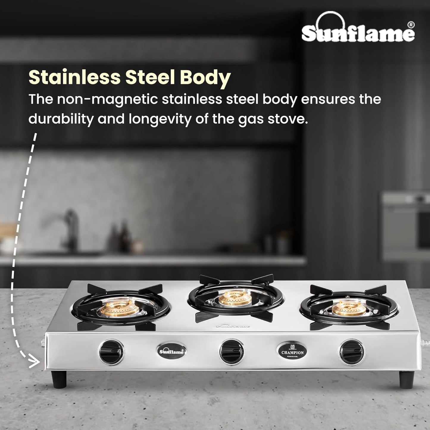 Champion 3 Burner Gas Stove | 1 Medium and 2 Small Brass Burners | Stainless Steel